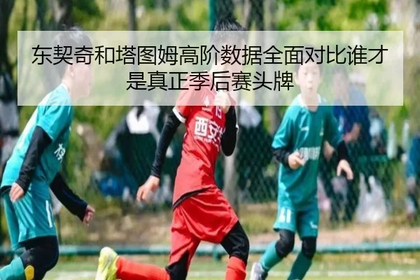dong-qi-qi-he-ta-tu-mu-gao-jie-shu-ju-quan-mian-dui-bi-shui-cai-shi-zhen-zheng-ji-hou-sai-tou-pai-2-558.jpg