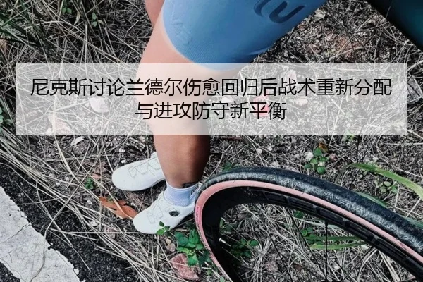 尼克斯讨论兰德尔伤愈回归后战术重新分配与进攻防守新平衡